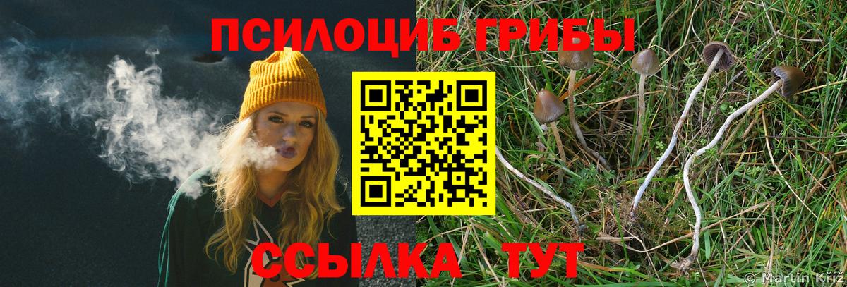 ГАШИШ  ГАШИШ  Купить наркотики цена  Вход с VPN  КОКАИН  Заречный  Мефедрон  